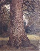 John Constable Study of the trunk of an elm tree oil painting picture wholesale